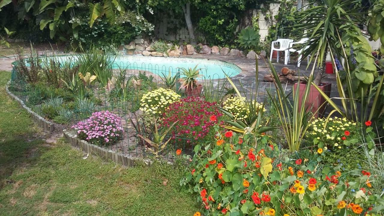 11 Lucius Way Apartment Cape Town Luaran gambar