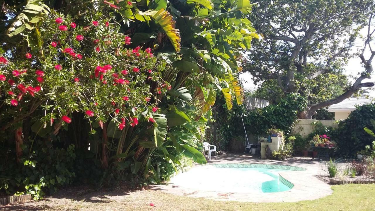 11 Lucius Way Apartment Cape Town Luaran gambar